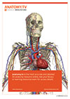 Anatomy.tv in your library Poster 2